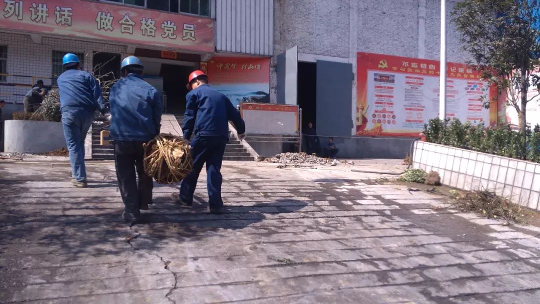 植樹造林 打造綠色礦山