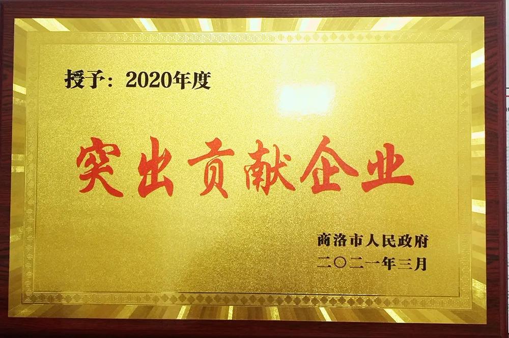 大西溝礦業(yè)公司獲商洛市“2020年度突出貢獻企業(yè)獎”殊榮